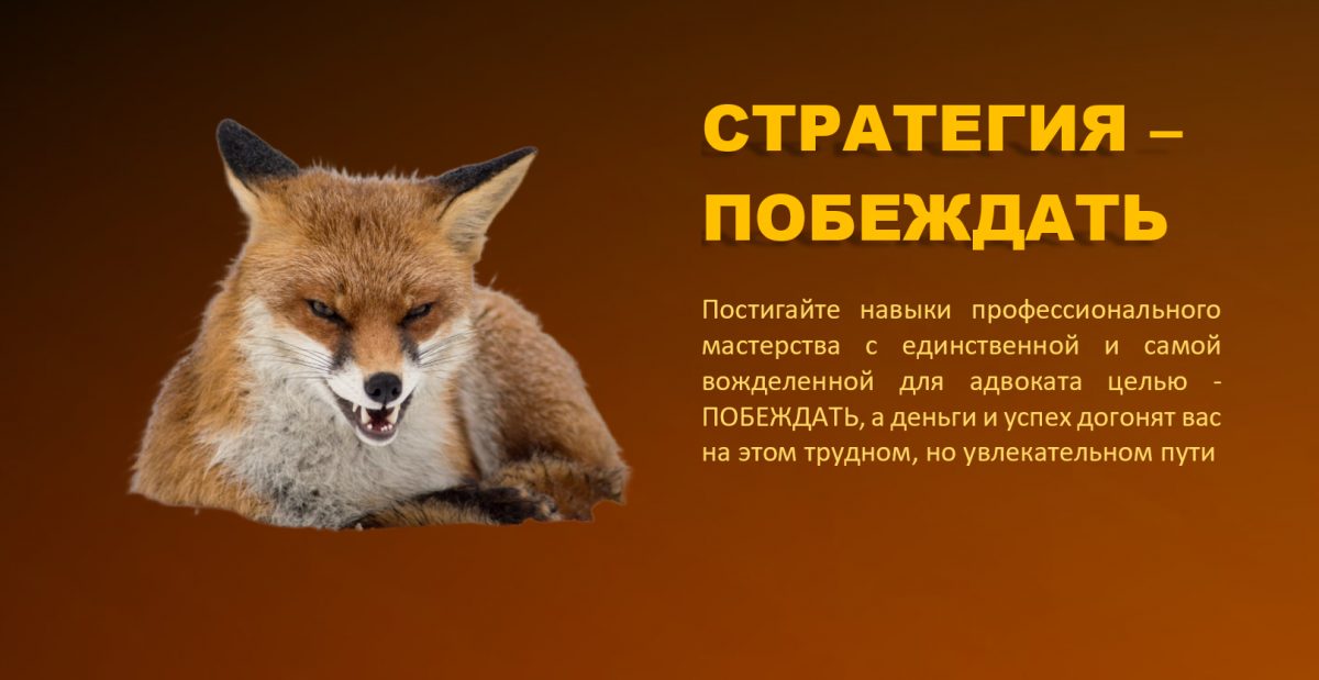 Успешный адвокат