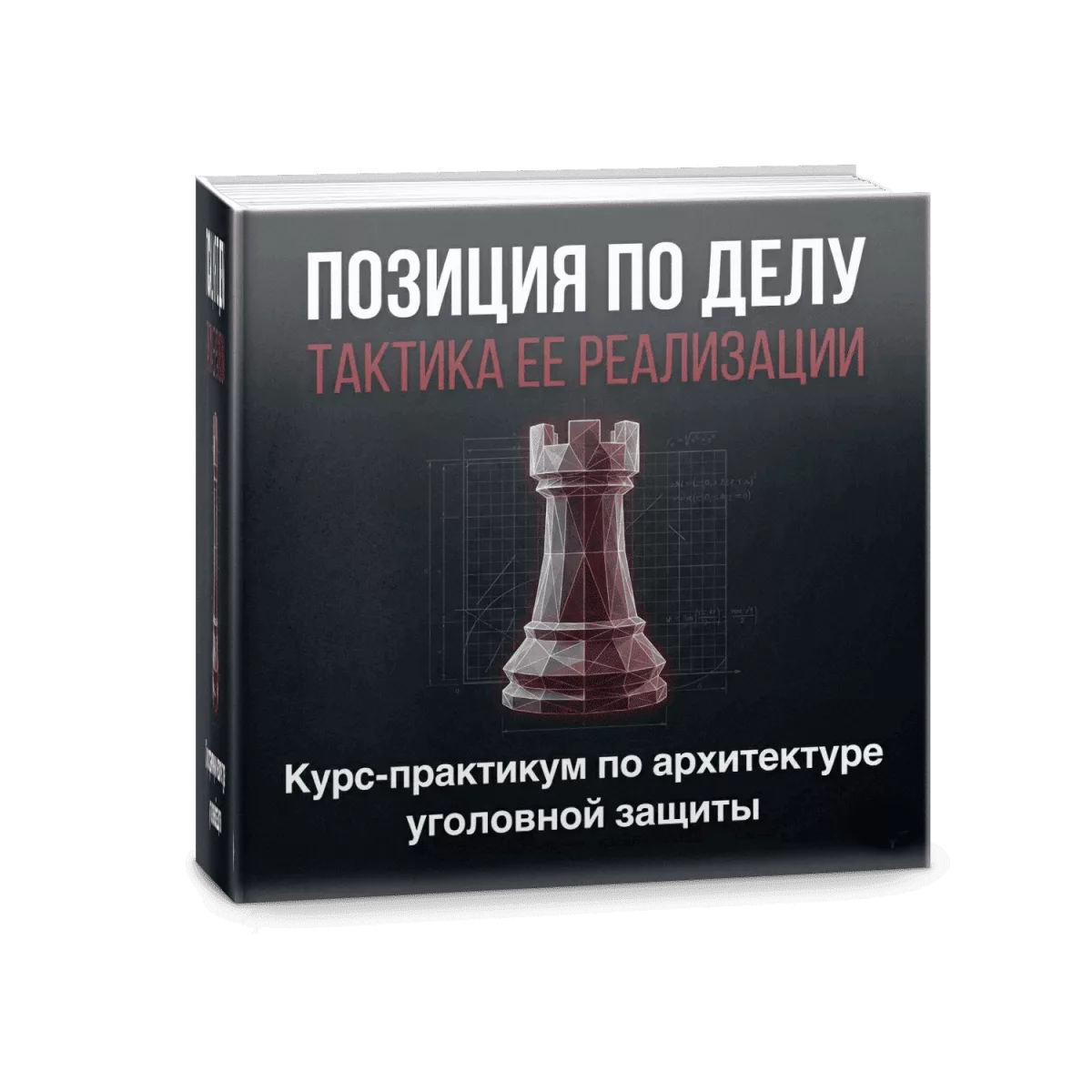 Позиция по делу
